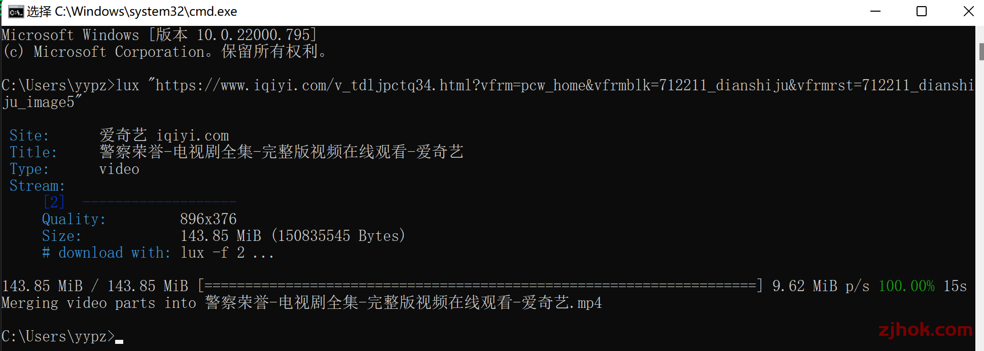跨平台 全球视频下载神器 Lux如何安装使用。2025.5.11更新